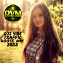 Djs Vibe - Traffic House Mix 2022 ()