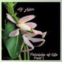 Dj Asia - Principles of Life (part I) (Mix)