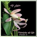 Dj Asia - Principles of Life (Part.2) (Mix)