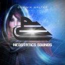 Dominik Walter - Frozen Tears (Original Mix)