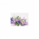 Mindfulness Healing Sleep BGM Project - Amino acid and Relaxation