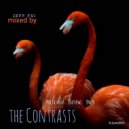 Jeff (FSI) - The Contrasts