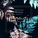 Andreas Sam - Netsu