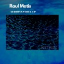 Raul Matis - To Meet The Wind