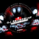 DJ Reversive - Skallskadda (Original Mix)