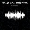 DeedHEEL - What You Expected (Original Mix)