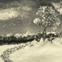 NORTH - Туман ()