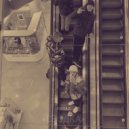 Сводка - Оклад ()