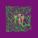 Gashit - Hey