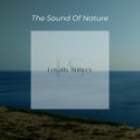 Frozen City - Asteroid