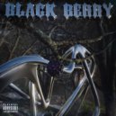MATTEO & SEVN Snt - Black Berry (prod. by kentwo.)