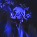 acidnora - last reason ()