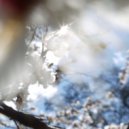 ayawaska - radiance! (Original Mix)