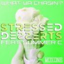 Stressed Desserts feat. Summer C - What Ya Chasin'?