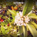 Kaffir Lime - Soured (8D Audio)