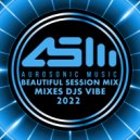 Djs Vibe - Beautiful Session Mix 2022 (Aurosonic Best Of)