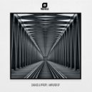 PFROPF, DASH3D - Amplifier