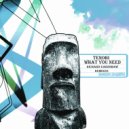 Tenobi - What You Need (Richard Earnshaw Radio Revision)