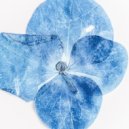 Adouss Ferd - Leaf Shadows