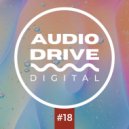 Various Arists - Audio Drive Mix 18 ()