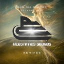 Dominik Walter - Cocktail Girl (AFTERUS Remix)