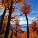 Dijuma - Q2 (Original Mix)