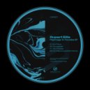 Rupert Ellis - Trip 2 Fantasy