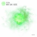 DJ Erika - Why Am I Here