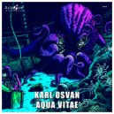 Karl Osvan - Aqua Vitae (Original Mix)
