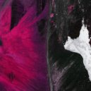 Not A Headliner - Transitory Fear