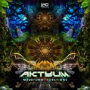 Aktyum - Waveform Functions (Original Mix)