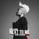 Emeli Sandé - Next to me (Ayur Tsyrenov remix)