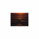 Mindfulness Healing Sleep BGM Project - Bookshelf and Joy