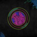Shadlesky - Investigate