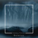 mr moustache - Boletus (Original Mix)