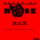 R.E.D. - Drive Me Crazy (Original Mix)