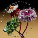 The Organism - Conquistador (Original Mix)