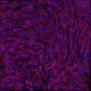 Nikolai Vraza - Rebound (Original Mix)