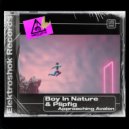 Boy In Nature & Plipfig - Approaching Avalon (Original Mix)