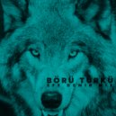 Efe Demir Mix - BÖRÜ TÜRKÜ