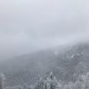 Eurt Apatea - exoenses ()