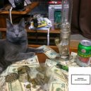 Yung Glizock & Yxngmellow - All about the Cake ()