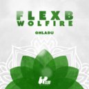 FlexB & Wolfire - Ohladu