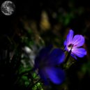 Kuhisi - Fall In Deep (Original Mix)