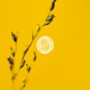 Pantheon, The Journey - Run (Extended Mix)