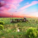 Anden - Youth Is Wasted on the Young (Martin Roth Remix / Extended Mix)