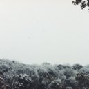 Hirotaka Shirotsubaki - Snow / Silence ()