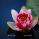 Frozen Silence - Boat Ride ()