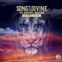 The Original Wailers & Al Anderson - Song of the Divine (feat. Al Anderson) ()