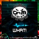 Drumnoise - What! (Original Mix)